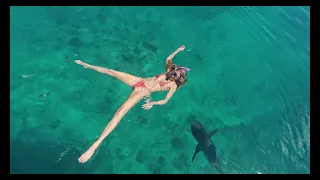 Close Encounter of the Deadly Kind 🦈 Sailing & Fun