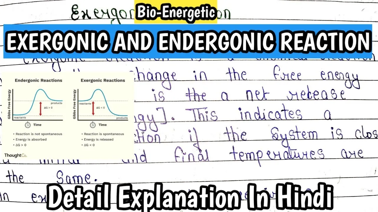 EXERGONIC AND ENDERGONIC REACTION | Bioenergetics | complete discussion + detail handmade notes|MSc.