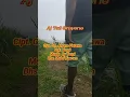 Download Lagu Terbaru lagu daerah papua 2024-Aj Tefi Srayene-bahasa Molof-senggi-Keerom (yespi official)