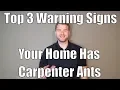 Top 3 Warning Signs Your Home Has Carpenter Ants