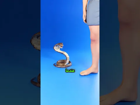 كيف تعرف ان الافعى سامة !!؟🤯☠️