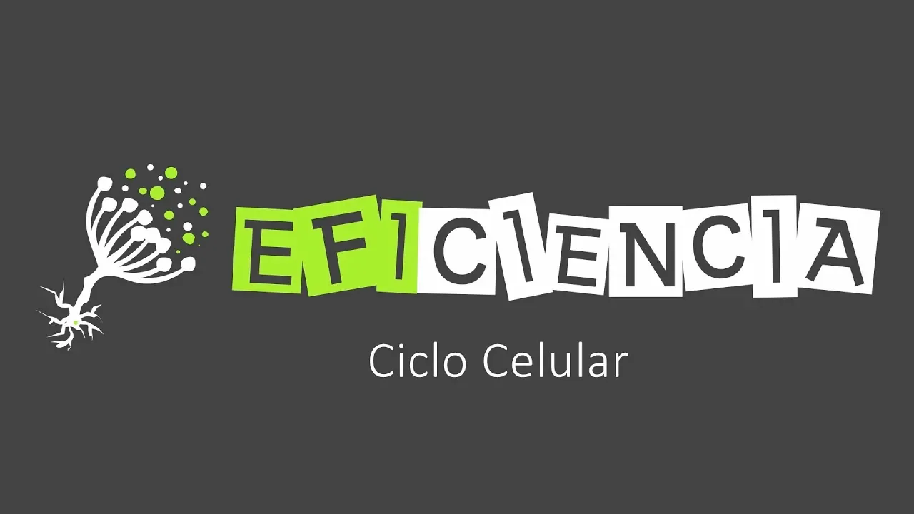 EL CICLO CELULAR Y SUS FASES. Interfase (G1, G0, S, G2) y Division (Cariocinesis-Citocinesis)