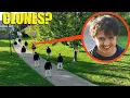 Download Lagu If you see your Clones in Real Life.. RUN away Fast!! (They are Bad)