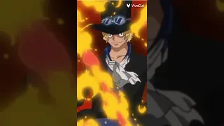 Which Mera Mera No Mi Fruit User Is Better Onepiece Meme Anime 