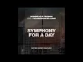 Symphony For A Day (Bitter Sweet Bootleg) - D'Angello & Francis and Technobunker Army