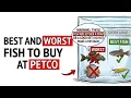 Best And Worst Fish To Buy At Petco