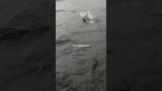 What’s that in the water? #sailingadventure