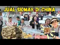 Lagu JUAL SIOMAY AYAM DAN SAYUR PARE DI CHINA, RAMAI SEKALI KARENA ADA YANG REKOMENDASIKAN KE TEMAN2 🤣
