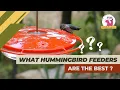 Unveiling the Best Hummingbird Feeder Options
