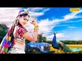 Download Lagu न्यारा हो जाओ फागण सुपरहिट फागण 2022 | Fagan Mahino Lagyo | Rani Rangili |Rajasthani Fagan Song