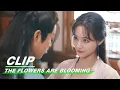 Download Lagu Clip: Nobody Touches My Belt Except You | The Flowers Are Blooming EP10 | 清风朗月花正开 | iQiyi