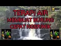 Download Lagu TERAPI AIR, TERAPI BURUNG ANIS MERAH MALAS BUNYI JADI NGERIWIK.