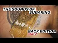 The Sounds of Sugaring Back Edition Part 2