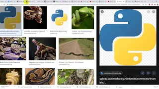 Download files with progress in Python