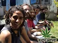 Zona Ganjah - Vibra Positiva
