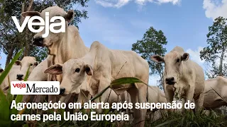 Agronegócio em alerta após suspensão de carnes pela União Europeia | MERCADO