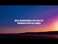 Marca MP - El Gallo Celoso (Letra/Lyrics)
