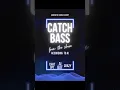 Download Lagu AI Bass Fishing Tips | Can Chat GpT Catch Fish? Seabass UK MP3