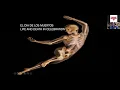 Dia de los Muertos Life and Death in Celebration
