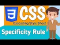 CSS Specificity CSS Specificity Rule and Inheritance Hierarchy of Style Declaration