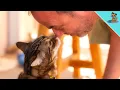 THIS Is Why Your Cat Is Trying To KISS You