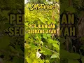 Lagu Perjuangan seorang ayah