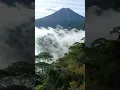 Download Lagu Hutan Hujan Tropis #shorts #nature #mountains #rainforest #villager #drone
