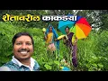 Download Lagu शेतावर गेलो आम्ही काकड्या आणायला Kakadya 😍 | कोकणातील पाऊस आणि शेती | S For Satish | Ambavali, Kokan