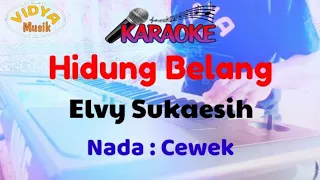 Download HIDUNG BELANG Karaoke Elvy Sukaesih MP3