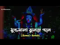 Download Lagu mundo mala jhulche // dj mix susanta
