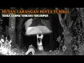 Download Lagu HOROR‼️EL ADVENTURE JADI TUMBAL KUNTILANAK MERAH HUTAN LARANGAN || EKSPERIMEN CCTV