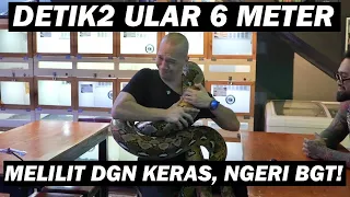 HAMPIR PINGSAN DILILIT ULAR 6 + METER!! 😱