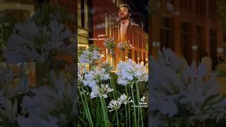 سيدي اليل للعاشق نهار 