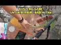 Download Lagu berburu babi hutan dengan pcp  setan.. kaliber besat tapi irit angin....
