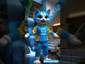 Download Lagu joget malu malu kucing gemoy#catlovers#catshorts