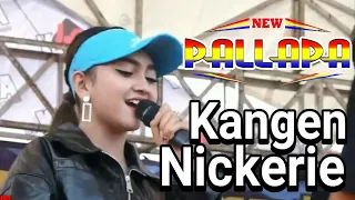 Download Jihan Audy New Pallapa Kangen Nickerie [cipt Didi Kempot] X Traine Nangou Japan 22 MP3