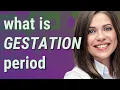 Gestation period meaning of Gestation period