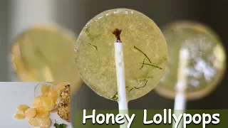 Natural Cough Drop Lollipops Homemade Ginger and Honey Lollipop