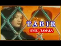 Download Lagu EVIE TAMALA - TABIR || DANGDUT KENANGAN