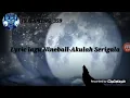 Download Lagu Lirik lagu nineball-akulah serigala