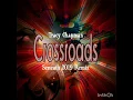 Tracy Chapman - Crossroads(Seneath 2019 Remix)