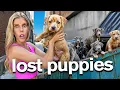 Lagu I Found 8 Lost Puppies in a Dumpster