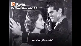 الهضبه من بين كل الدنيا خدتني دندنها