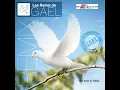 Dans ton sanctuaire (Remix)