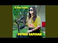Download Lagu PUTUIH SAPIHAK