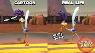 If Looney Tunes Were Real - Road Runner Wile E Coyote SFM