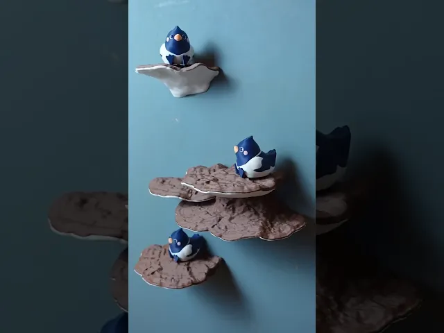 Mushroom shelf "Ganoderma Applanatum" video thumbnail