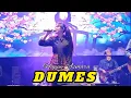 Download Lagu DUMES _ HAPPY ASMARA || Purworejo Creative Space