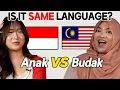 Download Lagu Malaysia Vs Indonesia l Can They Understand Each Other in Their Language?