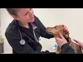 The FACE Client Assistance Fund